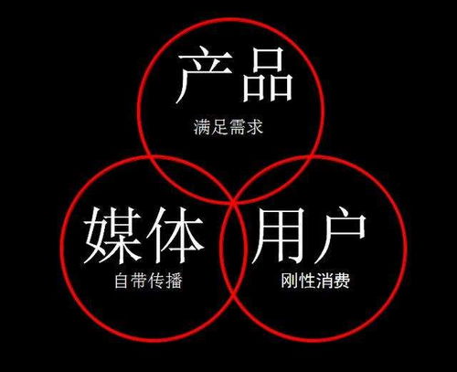 北京优惠的网站排名优化怎么样,效果好的苹果APP开发 看这里