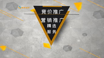 北京优化推广费用
