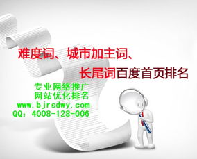 北京网络营销推广软件公司专业做推广