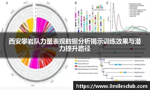 金年会金字招牌诚信至上